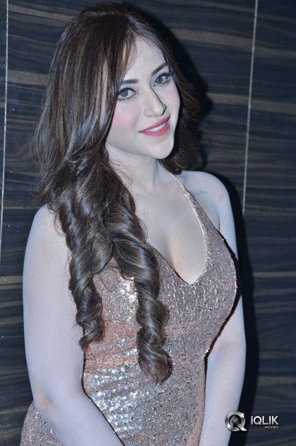 Rogue-Movie-Audio-Launch